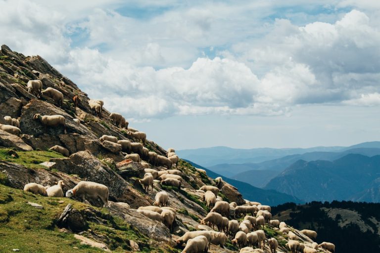 The Thrill of Embracing the Unknown: A Guide to Adventurous Outdoor Travel